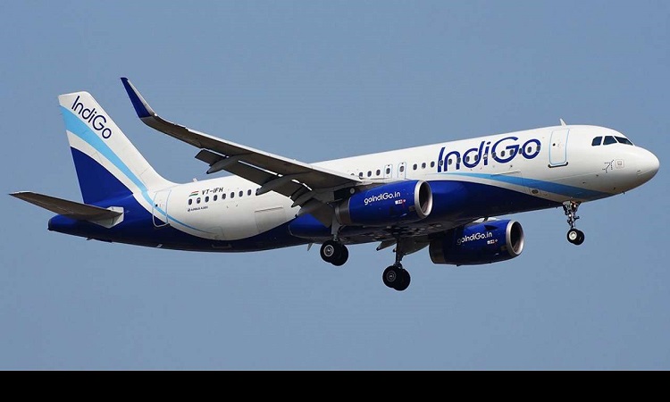 Indigo airlines