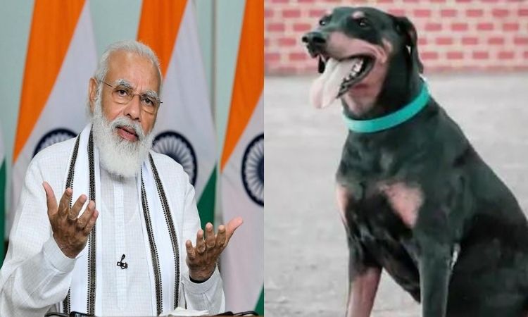 Indian breed dog, Mann ki baat