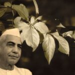 Chaudhary Charan Singh, Chaudhary Charan Singh birth anniversary