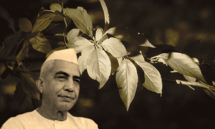 Chaudhary Charan Singh, Chaudhary Charan Singh birth anniversary