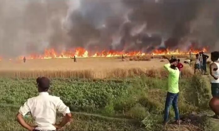 Bihar wheat field fires